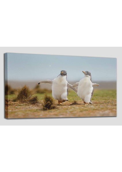 Mutlu Yavru Penguenler Dekoratif Kanvas Tablo 1152