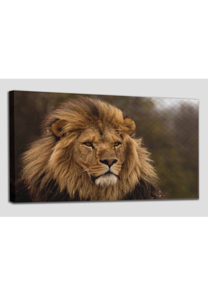 Aslan Dekoratif Kanvas Tablo 1159