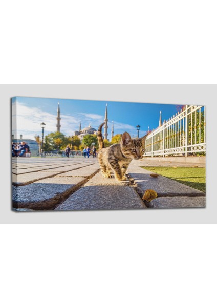 Istanbul Sultan Ahmet Camii ve Kedi Temalı Dekoratif Kanvas Tablo 1205 fiyatları