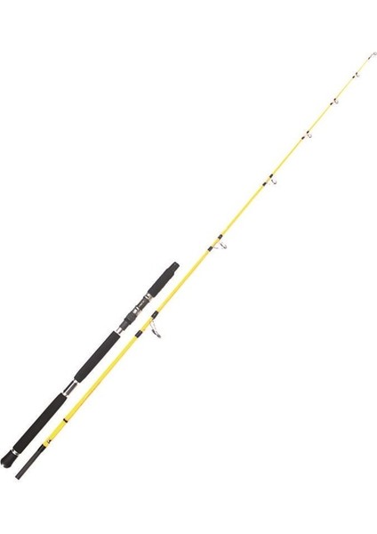 Boat Star 2248 240 Tekne Olta Kamışı 40-120 G Atarlı Balıkmarketim