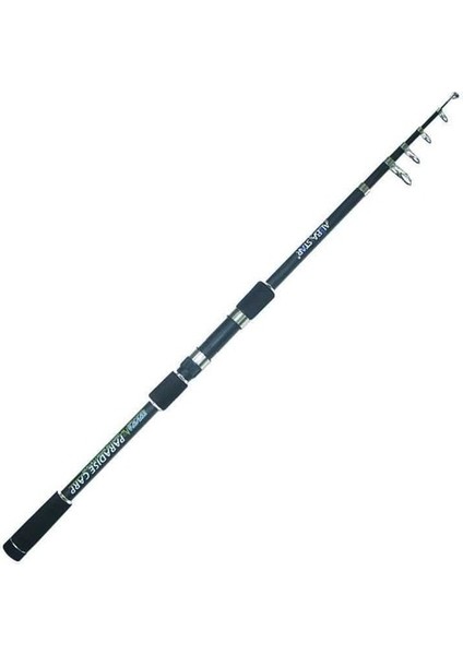Paradise Carp 2231 300 cm Olta Kamışı 40-80 G Atarlı Balıkmarketim