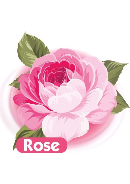 Islak Havlu Mendil 90 Yaprak Gül/rose 12 Li Set 1080 Yaprak Plastik Kapaklı