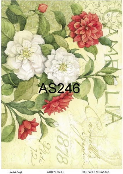 Pirinç Dekopaj Kağıdı LA-AS246