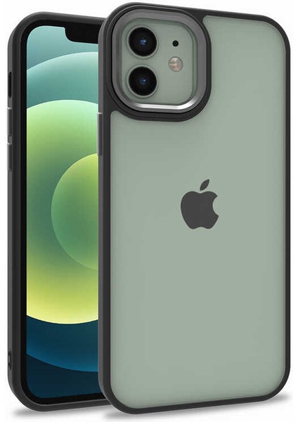 Apple iPhone 11 Kılıf Flora Sert Silikon Arkası Cam Şeffaf Siyah