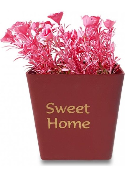Sweet Home Tasarımlı Dekoratif Saksıda Çiçek