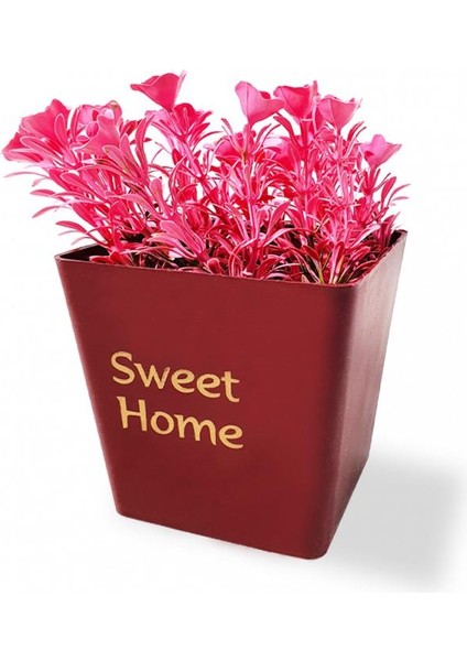 Sweet Home Tasarımlı Dekoratif Saksıda Çiçek fiyatları