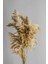 Pampas 10'lu Natural Çiçek 1