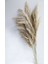 Pampas 10'lu Natural Çiçek 3