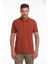 Erkek Kiremit Regular Fit %100 Pamuk Polo Yaka Tişört 3