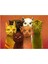 5092/ART Art Puzzle, Kediler Takımı 500 Parça Puzzle 2