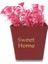 Sweet Home Tasarımlı Dekoratif Saksıda Çiçek 1