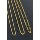  Renk Gold