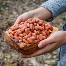 Beta Kavrulmuş Tuzlu Yer Fıstığı 250 gr