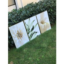 Linacci Üçlü Gold Altın Alüminyum Metal Çerçeveli Beyaz Çiçekli Yeşil Yapraklı Poster Tablo Seti
