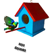 Ncy Home Ahşap Kuş Yuvası Dış Mekan Suya Dayanıklı