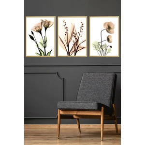 Üçlü Gold Alüminyum Metal Çerçeveli Camlı Poster Tablo Seti
