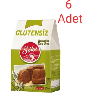 Glutensiz Kek Unu Kakaolu 6 x 225 gr