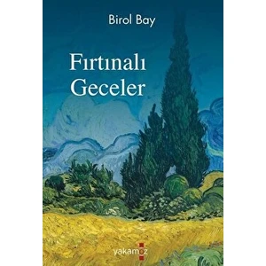 Fırtınalı Geceler - Birol Bay