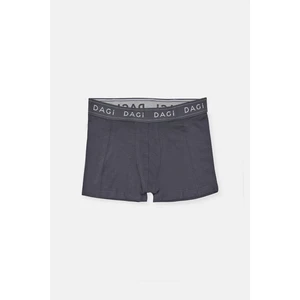 Antrasit Boxer
