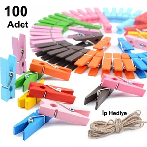 100 Adet Mini Mandal Karışık Renkli Mandallar Fotoğraf Mandalı 10 Metre Ip