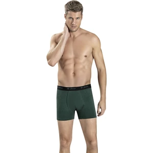Erkek Yeşil Modal Pamuklu Boxer 321