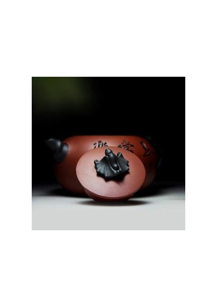 Demlik (Yurt Dışından) modelleri