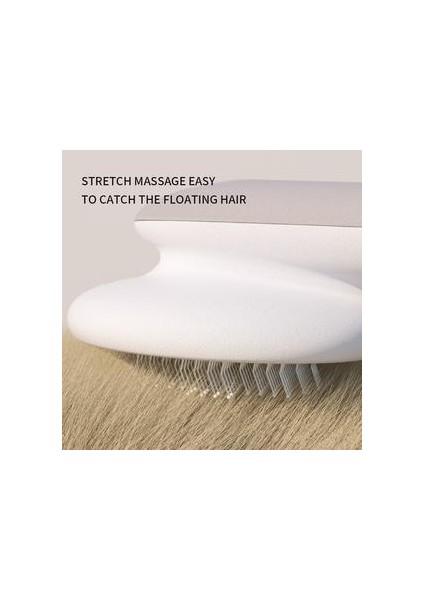 Kedi Köpek Bakım Ekipmanı (Yurt Dışından) fırsatları