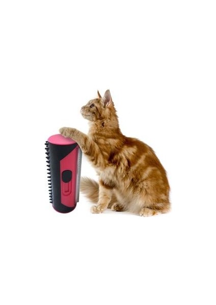 Kedi Köpek Bakım Ekipmanı (Yurt Dışından) modelleri