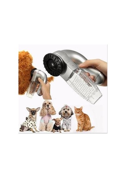 Kedi Köpek Bakım Ekipmanı (Yurt Dışından)