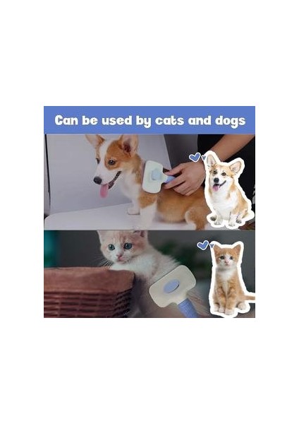 Kedi Köpek Bakım Ekipmanı (Yurt Dışından) modelleri
