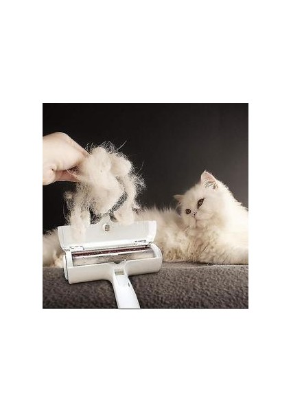 Kedi Köpek Bakım Ekipmanı (Yurt Dışından) fırsatları