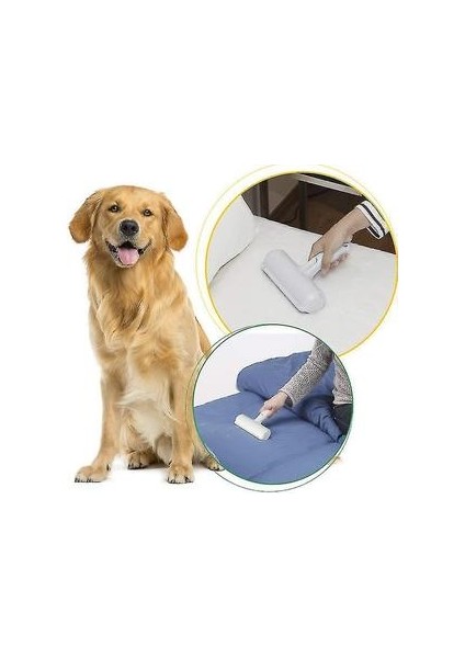 Kedi Köpek Bakım Ekipmanı (Yurt Dışından) indirimleri