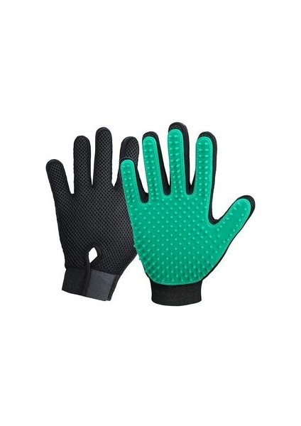 Kedi Köpek Bakım Ekipmanı (Yurt Dışından)