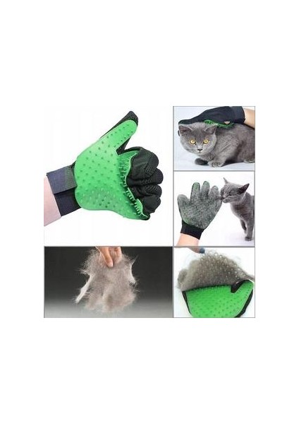 Kedi Köpek Bakım Ekipmanı (Yurt Dışından) modelleri