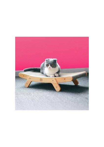 Kedi Tırmalama Tahtası (Yurt Dışından)