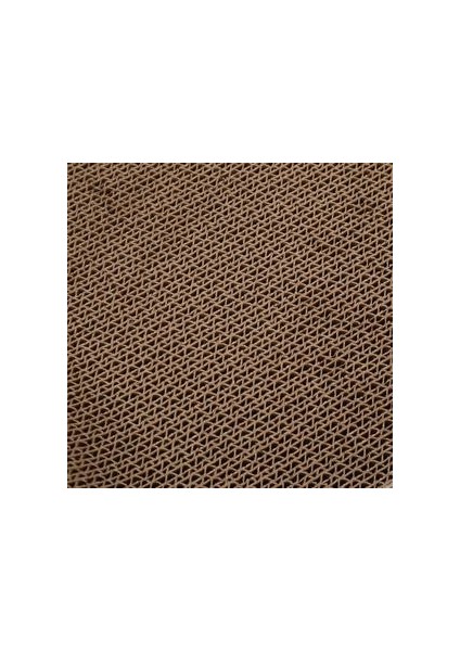 Kedi Tırmalama Tahtası (Yurt Dışından)