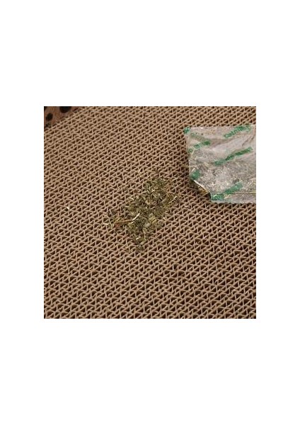 Kedi Tırmalama Tahtası (Yurt Dışından)