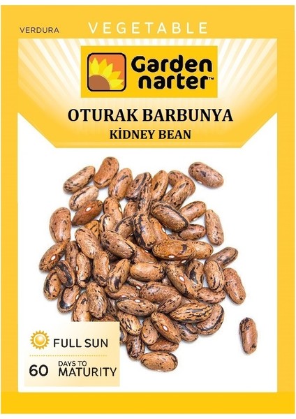 Oturak Barbunya Tohumu Doğal Organik Tohum Pakette 20 Tohum + Hediye Sebze Tohumu