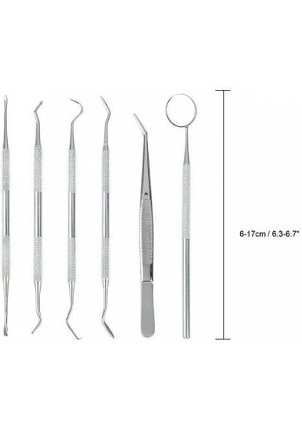 Polham 6 Parça Diş Tartar Sökücü Parça Set Profesyonel Diş Tartar Sökücü Paslanmaz Çelik