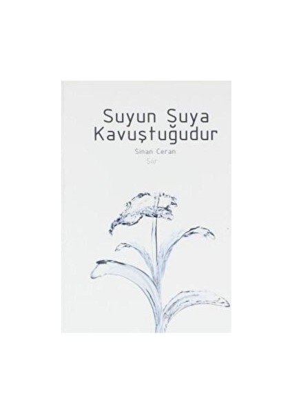 Suyun Suya Kavuştuğudur