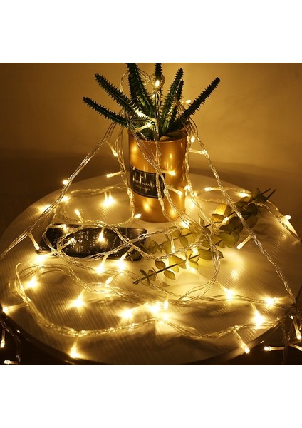Dize Işık 100LED 10M Noel/düğün/parti Dekorasyon Işıkları Garland Ac 220V Dış Mekan Su Geçirmez LED Işık (Yurt Dışından)