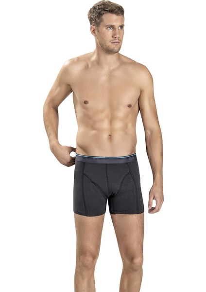 Erkek Füme Pamuklu Likralı 3'lü Boxer 267