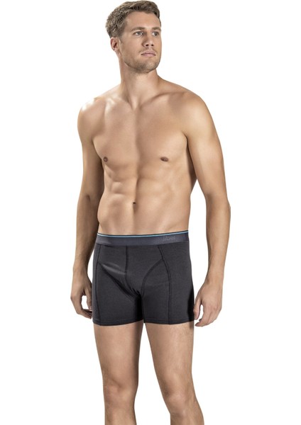 Erkek Füme Pamuklu Likralı 3'lü Boxer 267 fiyatları