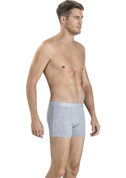 Erkek Gri Viskoz Likralı Boxer 153 fiyatları