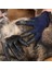 Kedi Köpek Bakım Ekipmanı (Yurt Dışından) 3
