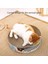 Kedi Tırmalama Tahtası (Yurt Dışından) 3