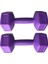2 kg x 2 Adet Dambıl Vinyl Kaplı Dumbell Ağırlık - Mor 2
