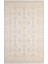 Esiliva 11309VİZON Vizon Halı 2