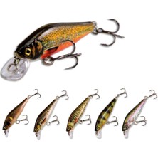 Nomura Ofujı 5Cm 5G Suni Yem