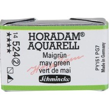 Schmincke Horadam Artist Sulu Boya Tam Tablet 524 May Green